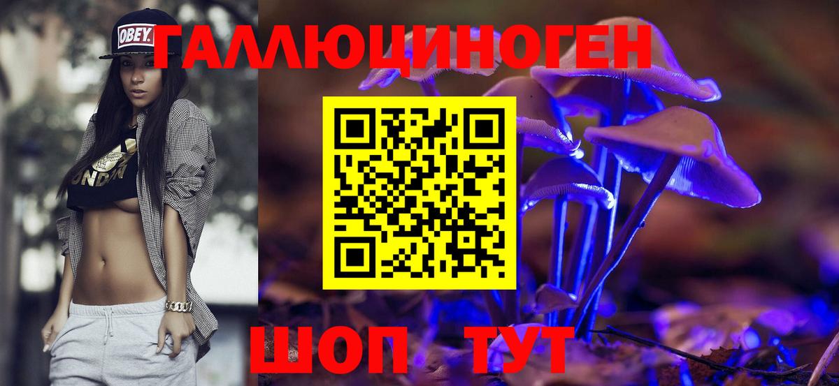 Псилоцибиновые грибы прущие грибы Новочебоксарск